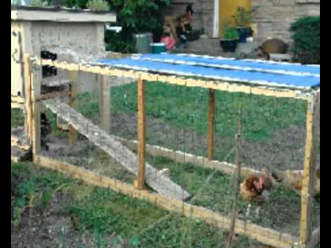 Chicken coops for dummies | Info and tips on building chicken coops ...