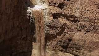 שיטפון בצאלים בירכת צפירה - Flash Flood in the Judean Desert