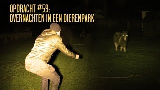 OPDRACHT #59: Overnachten in een Dierenpark