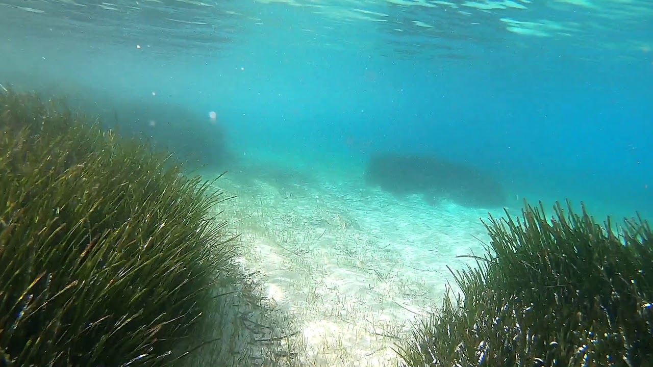 Mediterranean Sea Tide Pool