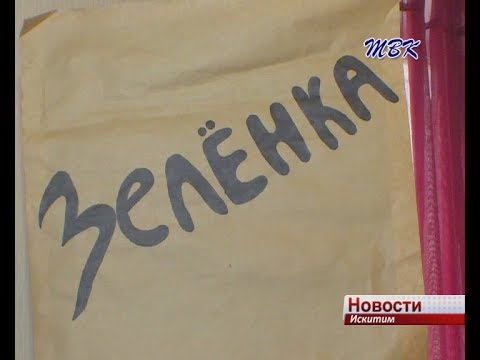 Экологический фестиваль «Зеленка» впервые прошел в Искитиме