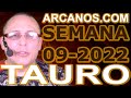 Video Horscopo Semanal TAURO  del 20 al 26 Febrero 2022 (Semana 2022-09) (Lectura del Tarot)