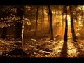 Legszebb Magyar duet