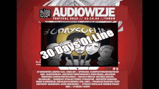 Audiowizje Festiwal 2013 - Toruń 11 - 14 KWIETNIA