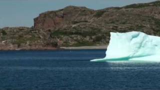 iceberg alley newfoundland 2021