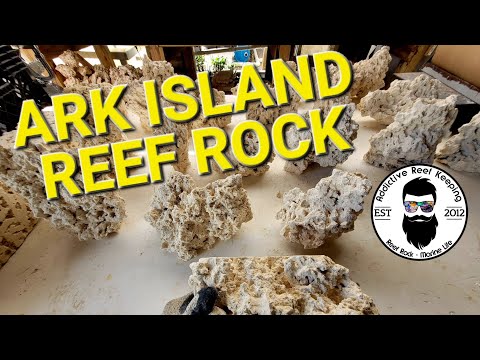 video ARK Island Flat Bottom Cut Foundation Rock- Lightweight-PICK WEIGHT AND SIZE