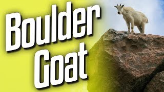 Boulder Goat (Goat Sim #5)