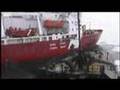 Sea Shepherd Rammed by Canada Coast-Guard