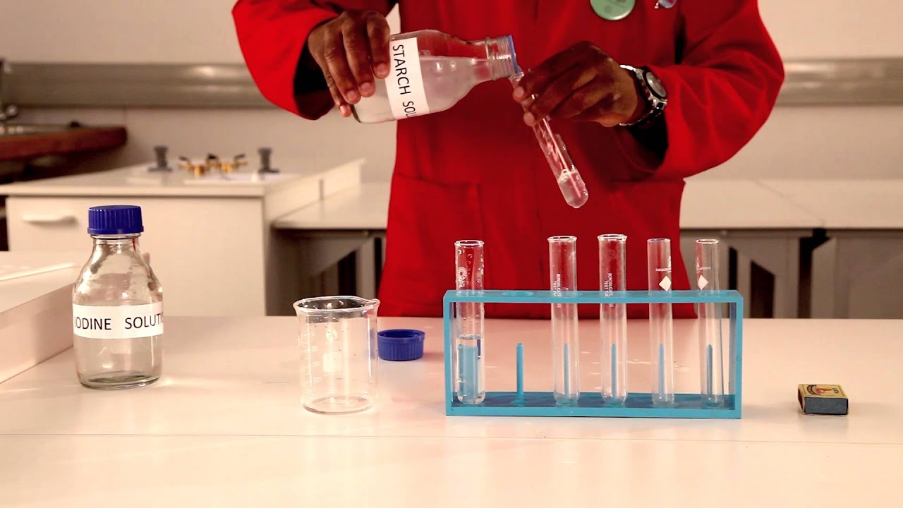 CTSC practical experiment - Temperature & rate of reaction - YouTube