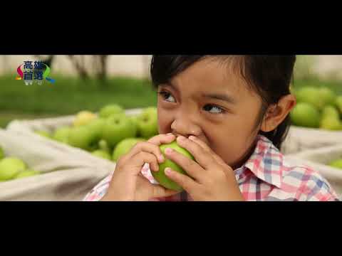 高雄蜜棗(影片長度:30秒) 高雄蜜棗(影片長度:30秒)