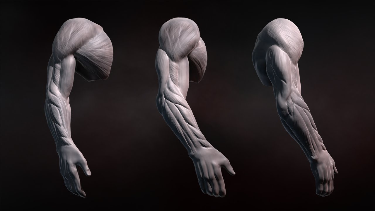 ZBrush Tutorial: Sculpting Human Arms in ZBrush - YouTube