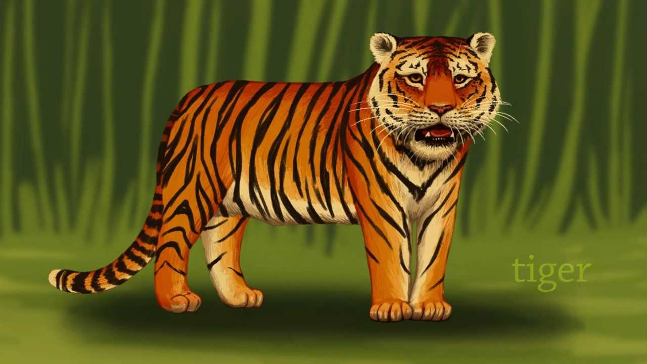 Zoo Stories: Jungle Animals (for preschool and kindergarten kids) - YouTube