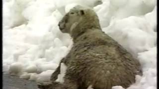 Canterbury Snow 1992  - Part 1