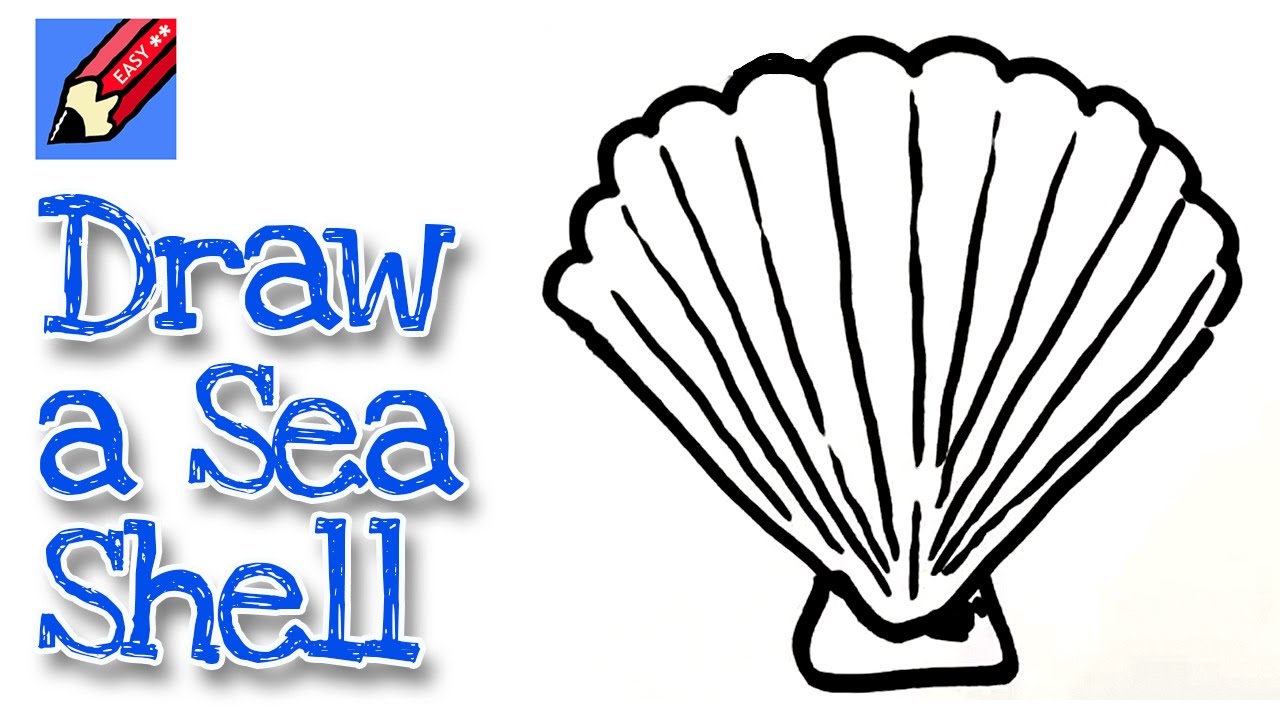 How to draw a Sea Shell Real Easy - YouTube