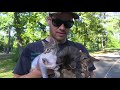 Surprise Kitten Rescue