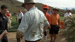 Fan attacked by jumping cactus as Rory McIlroy hits out of desert at Accenture