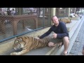 Petting Tigers in Chiang Mai, Travel Geek: Documentary Thailand Outtake #1