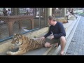 Petting Tigers in Chiang Mai, Travel Geek: Documentary Thailand Outtake #1