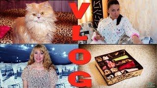 VLOG: хранение вещей★кошка★НОВЫЙ туалетный столик!