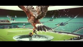 Perfectionists: Rufus - The Real Hawk-Eye | Stella Artois UK