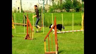 NEVER Give Up! (Agility)