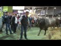 PRESENTATION BAZADAISES SALON AGRICULTURE PARIS SIA 2013