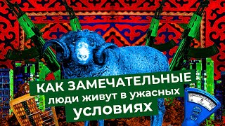 Личное: Бишкек: бараны на дорогах, лечение собачьим жиром и атмосфера 90-х в Кыргызстане