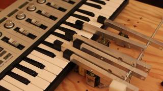 The Bit-52's: Rock Lobster The Bit-52's: Rock Lobster