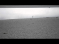 MONT ST MICHEL - film mouette.AVI