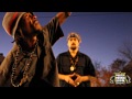 Positiv Young Lion - RASTAMAN