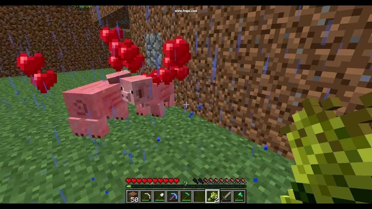 Minecraft - Animal Breeding - YouTube