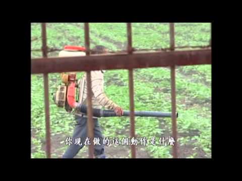 我們的島 第439集 農地受難記 (2008-02-01) - YouTube pic