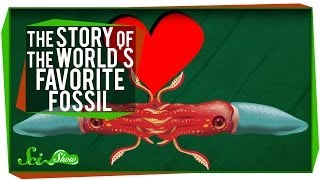 The Story of the World's Favorite Fossil