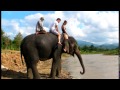 Elephant Trekking in Pai