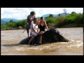 Elephant Trekking in Pai