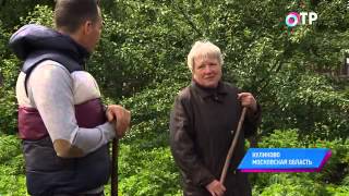 Малые города России: Куликово - почему в селе любят выращивать арбузы