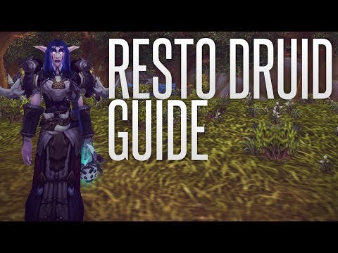 5.4 - Resto Druid PvP Guide (Talents, Glyphs, Gems, Reforging, Rotation