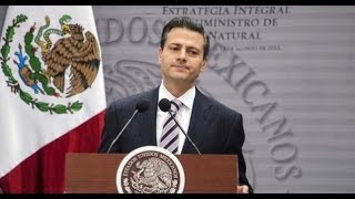 Primer Año de Gobierno de Peña Nieto lleno de Pendejadas | Spot Oficial