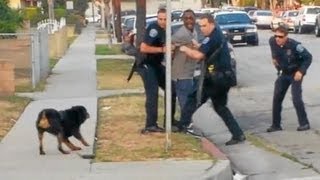 Police Shoot and Kill Dog in Front of Owner (Graphic Video)