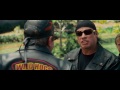 Wild Hogs