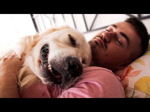 How My Dog Sleeps with Me in Bed
