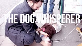 VLOG | The Dog Whisperer