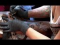 LA Ink - Flower Sleeve