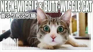 首ふり尻ふり猫 - Neck-Wiggle & Butt-Wiggle Cat -