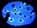 Reactable - Bjork - Collaborative Tangible Interface