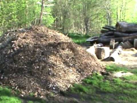 Back to Eden Wood Chip Garden Experiment - YouTube