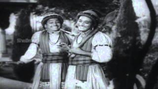 Chandraharam  SVR Hiding Sriranjani Sentiment Scene  NTR, Sriranjani, Savitri