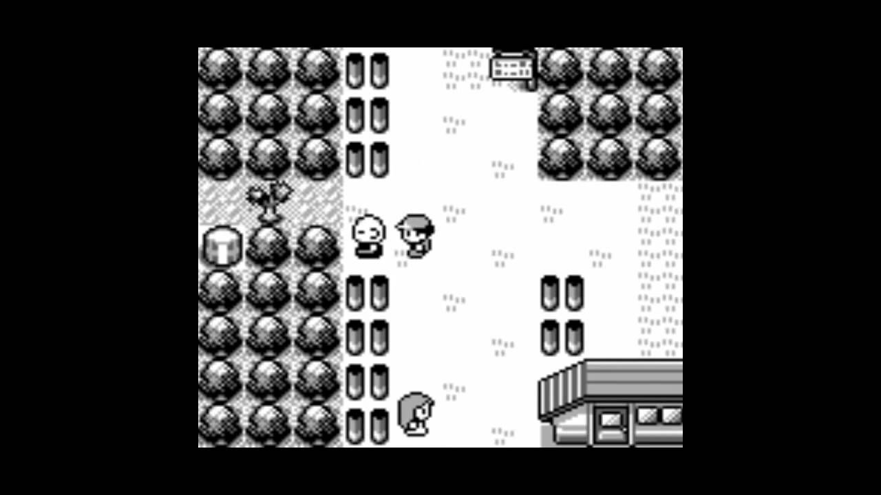Pokemon saison 12 rencontre au sommet