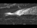 Warning Graphic 2 Apache Helicopters Engage a Platoon of Taliban