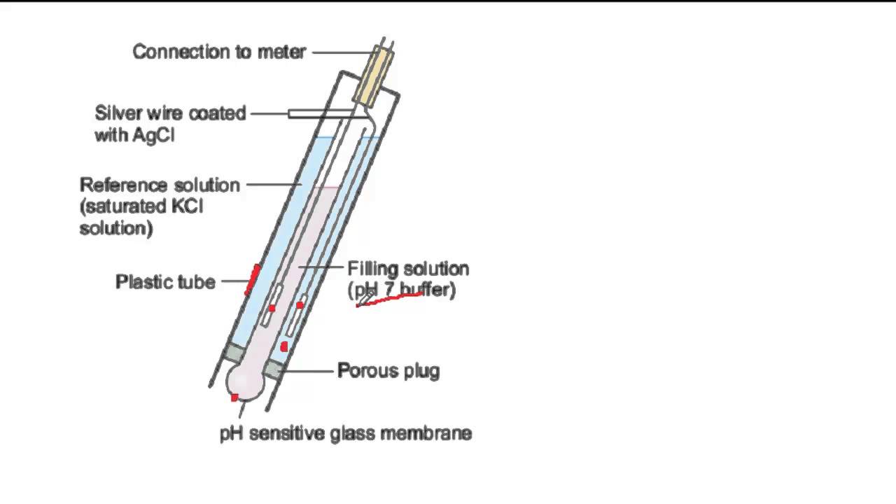 Labelled Diagram Of Ph Meter vrogue.co